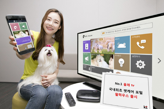 KT(대표 황창규)는 IPTV 서비스 올레tv를 통해 반려동물 전용 채널인 '왈하우스(Wal House)'를 선보인다고 4일 밝혔다. 왈하우스는 반려견이 볼 수 있는 영상 등 반려동물 전용 콘텐츠 약 5000편을 제공한다. KT 제공